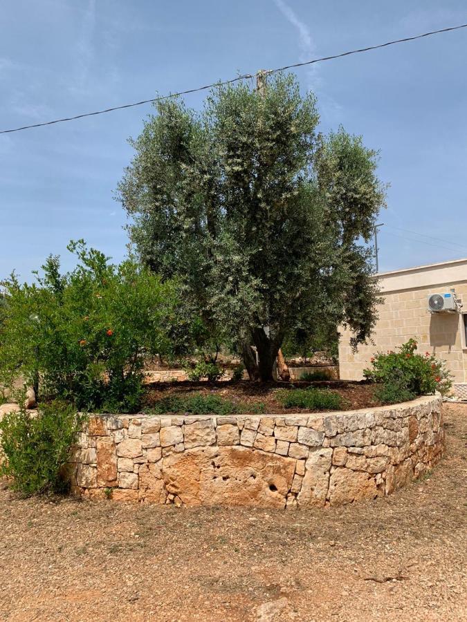 Villa Il Trullo Di Francesca à Ceglie Messapica Extérieur photo