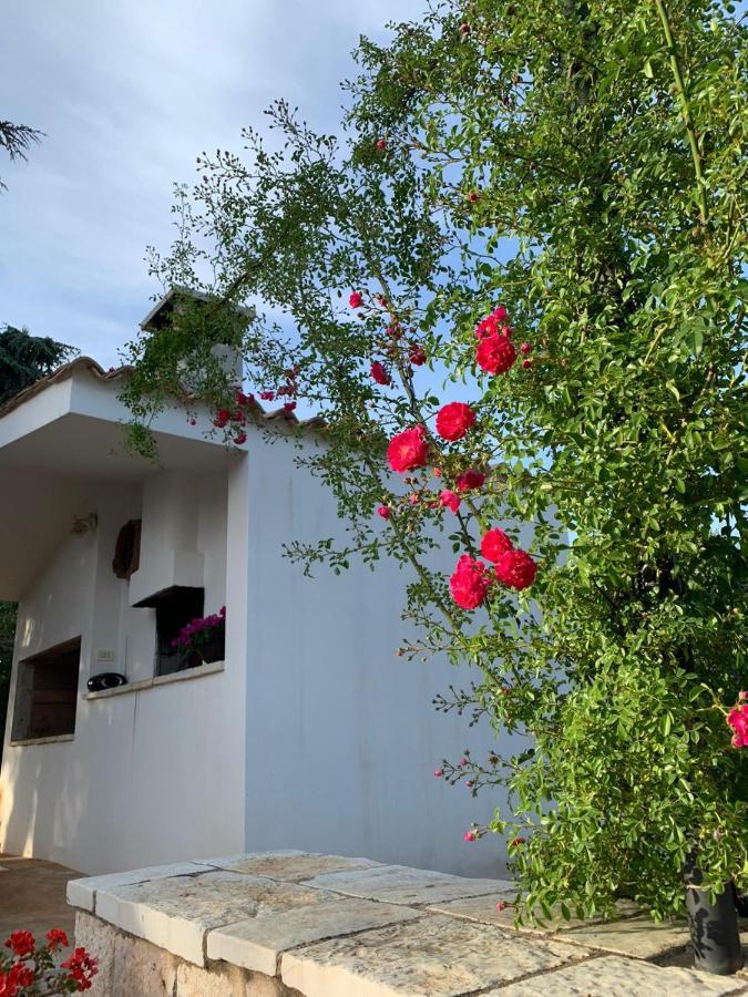 Villa Il Trullo Di Francesca à Ceglie Messapica Extérieur photo